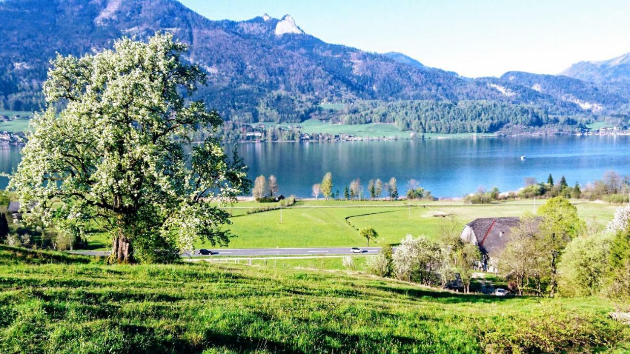 Fumerhof Strobl Extérieur photo